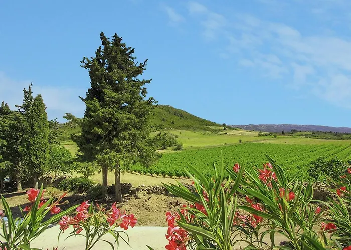 Tranquil In Villeseque-des-Corbieres